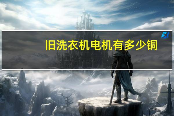 旧洗衣机电机有多少铜