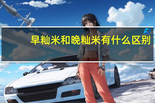 早籼米和晚籼米有什么区别