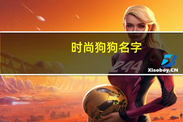 时尚狗狗名字