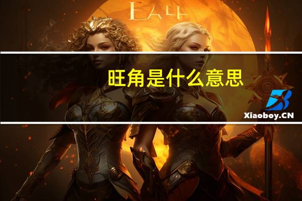 旺角是什么意思
