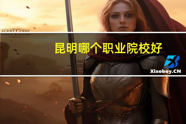 昆明哪个职业院校好