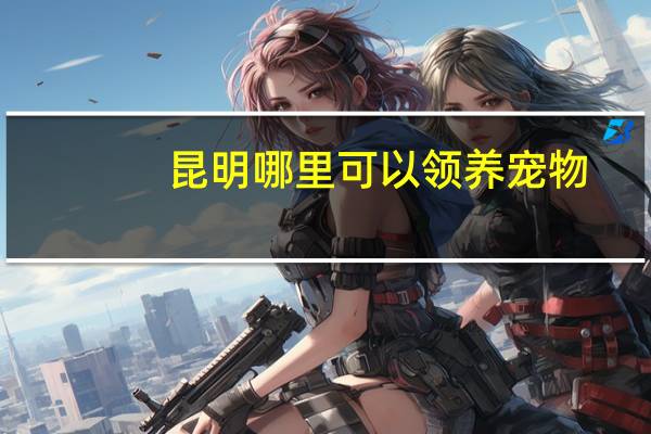 昆明哪里可以领养宠物