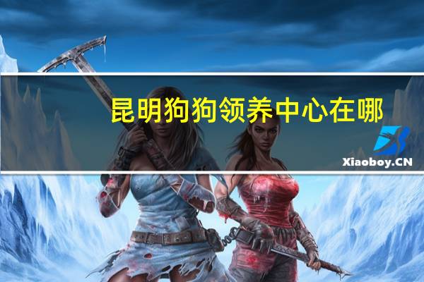 昆明狗狗领养中心在哪