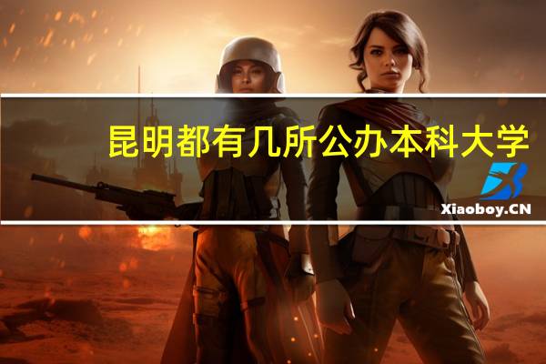 昆明都有几所公办本科大学
