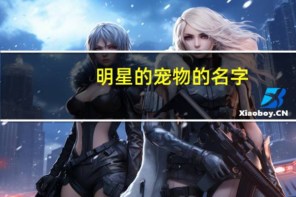 明星的宠物的名字