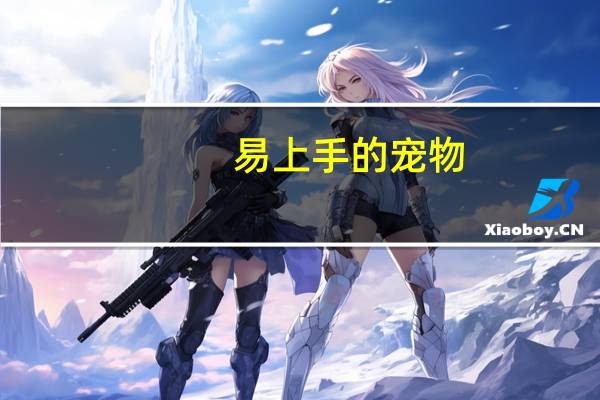 易上手的宠物