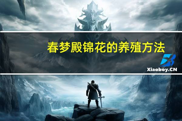 春梦殿锦花的养殖方法
