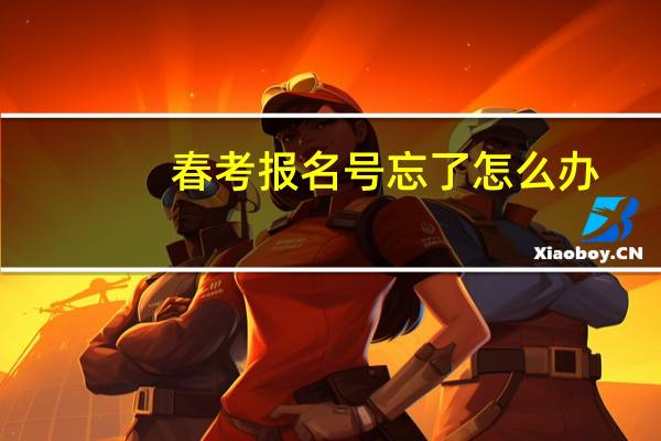 春考报名号忘了怎么办