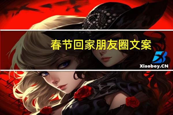 春节回家朋友圈文案