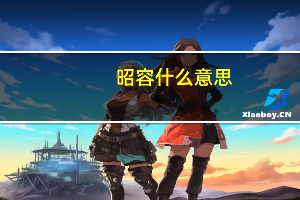 昭容什么意思