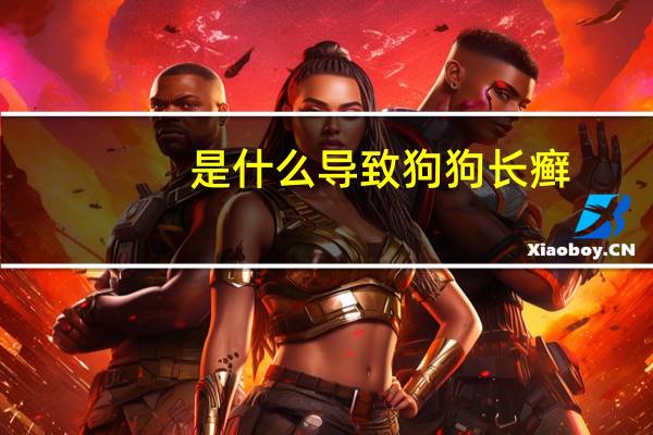 是什么导致狗狗长癣