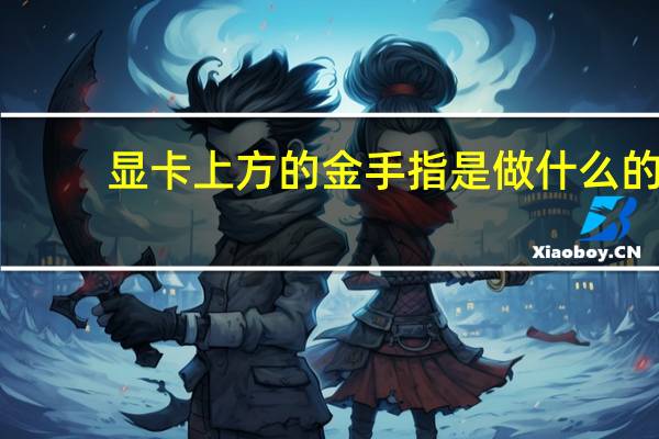 显卡上方的金手指是做什么的