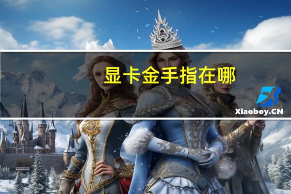 显卡金手指在哪