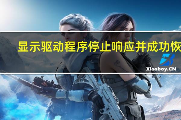 显示驱动程序停止响应并成功恢复