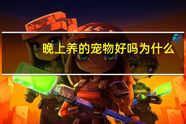 晚上养的宠物好吗为什么