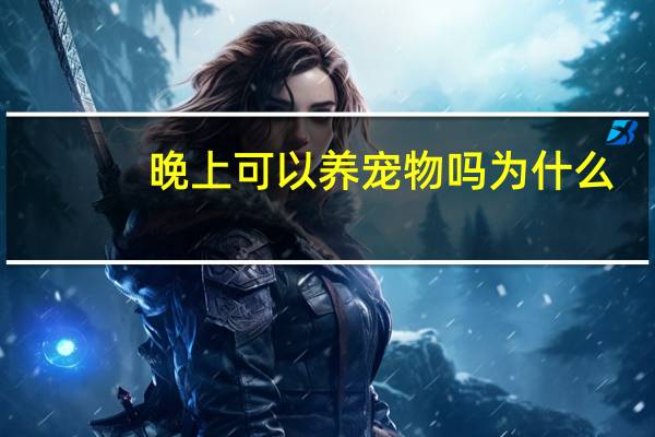 晚上可以养宠物吗为什么