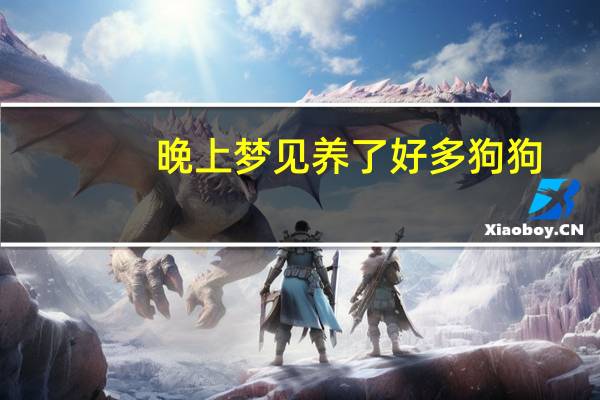 晚上梦见养了好多狗狗