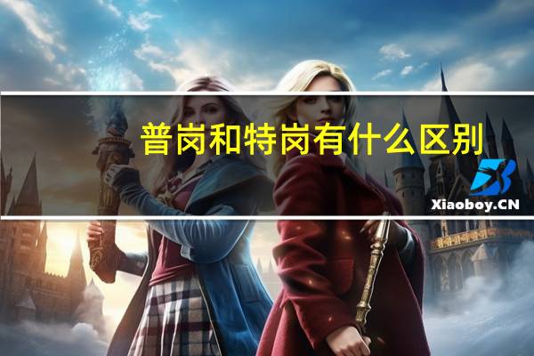 普岗和特岗有什么区别