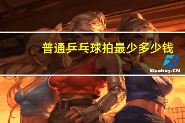普通乒乓球拍最少多少钱