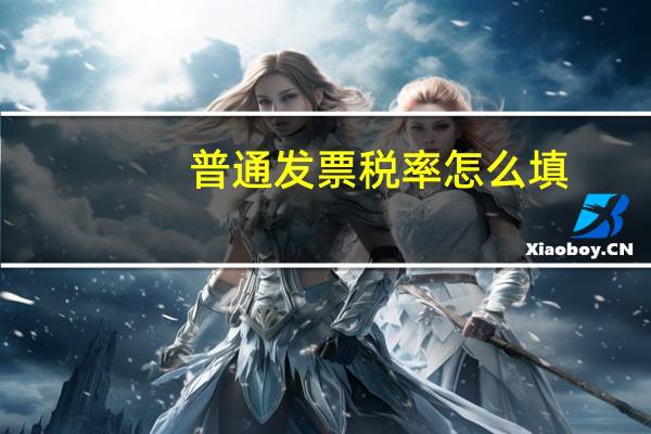 普通发票税率怎么填