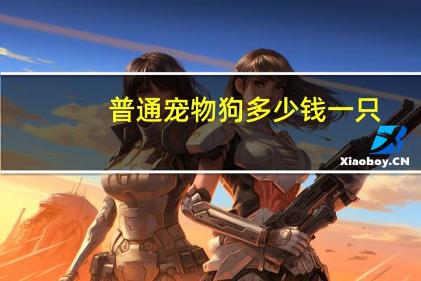 普通宠物狗多少钱一只