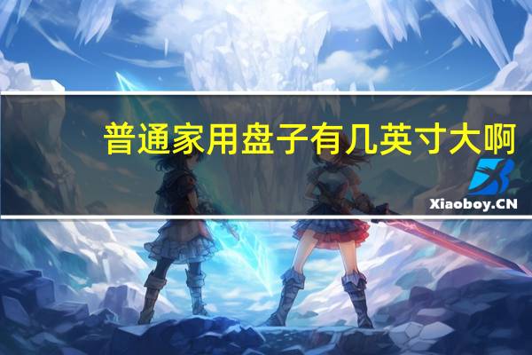 普通家用盘子有几英寸大啊