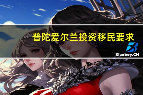 普陀爱尔兰投资移民要求