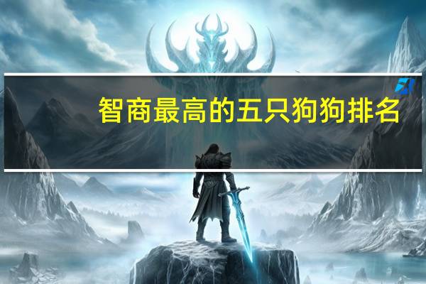 智商最高的五只狗狗排名