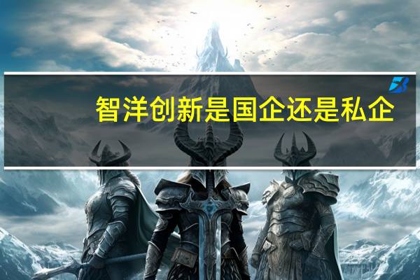 智洋创新是国企还是私企