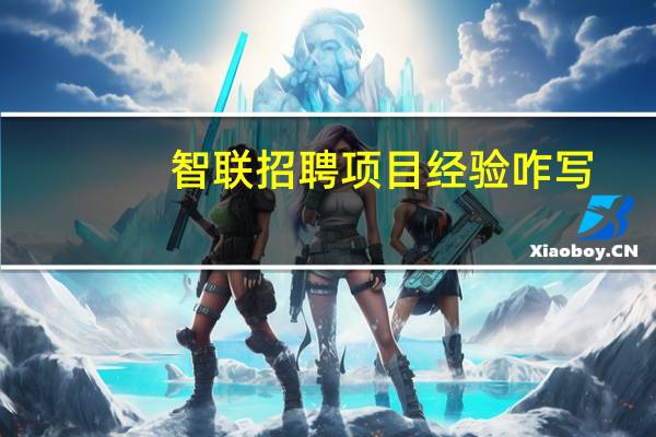 智联招聘项目经验咋写