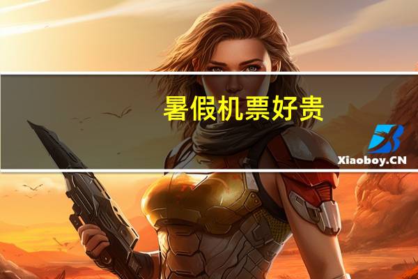 暑假机票好贵