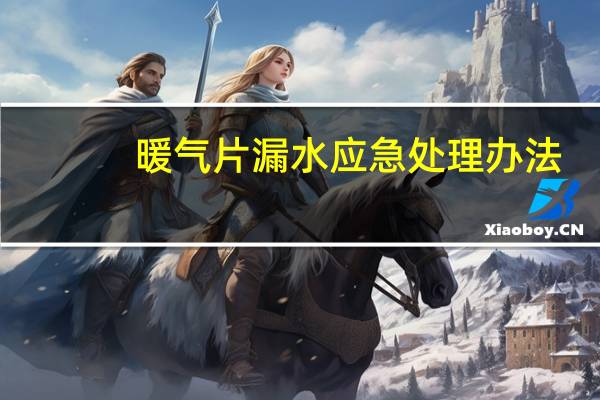 暖气片漏水应急处理办法