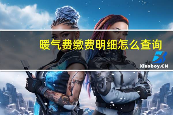 暖气费缴费明细怎么查询