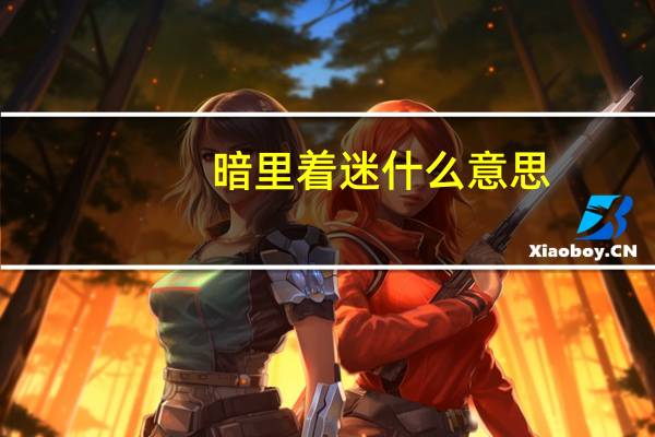 暗里着迷什么意思