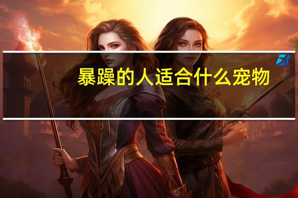 暴躁的人适合什么宠物