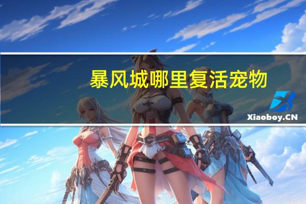 暴风城哪里复活宠物