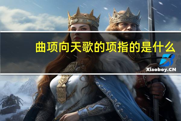 曲项向天歌的项指的是什么