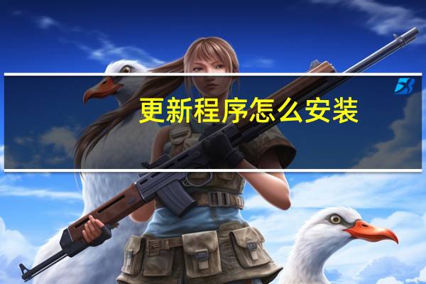 更新程序怎么安装