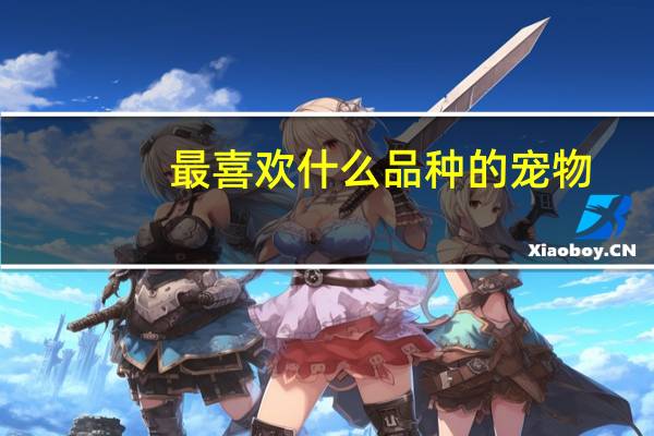 最喜欢什么品种的宠物