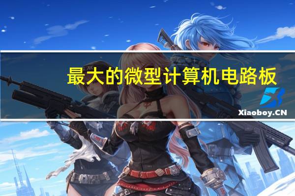 最大的微型计算机电路板