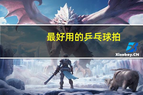 最好用的乒乓球拍