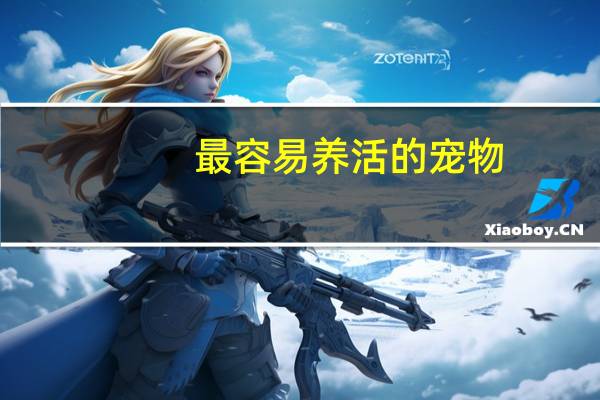 最容易养活的宠物