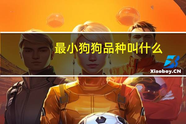 最小狗狗品种叫什么