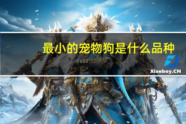 最小的宠物狗是什么品种