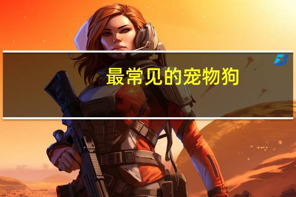 最常见的宠物狗