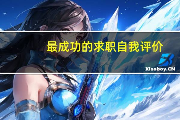 最成功的求职自我评价