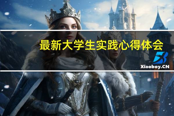 最新大学生实践心得体会