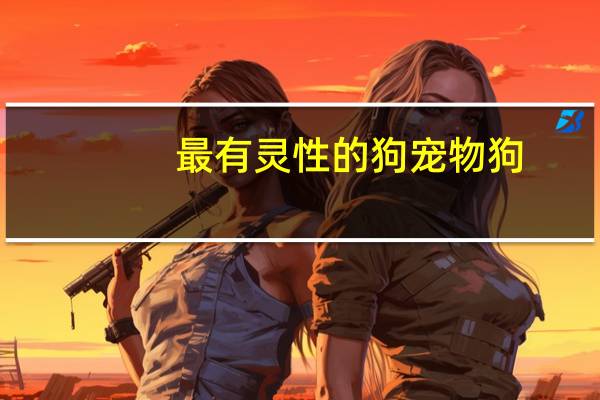 最有灵性的狗宠物狗