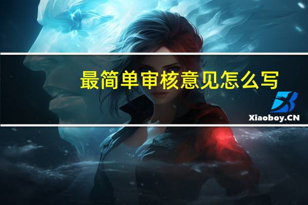 最简单审核意见怎么写