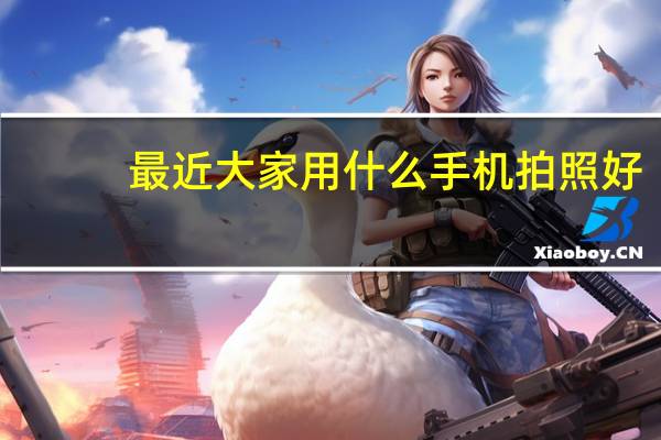 最近大家用什么手机拍照好